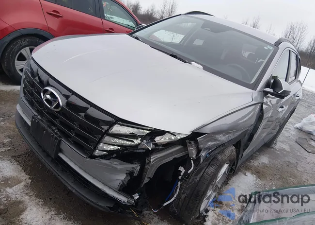 5NMJBCAE8PH242409: 44495333