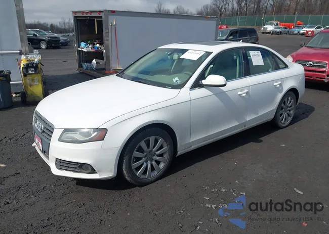 WAUFFAFL3BN021444: 44495361