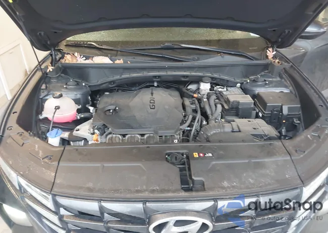 5NMJFCAE1PH250209: 44496705