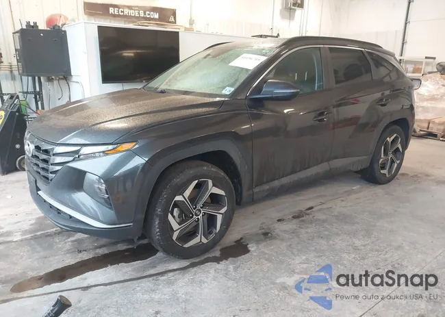 5NMJFCAE1PH250209: 44496705