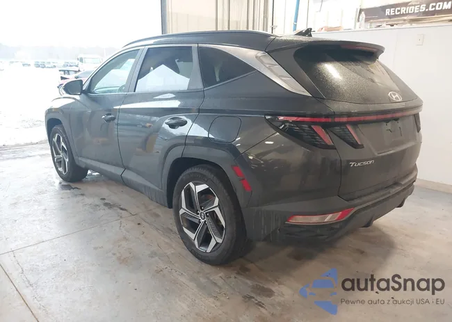 5NMJFCAE1PH250209: 44496705