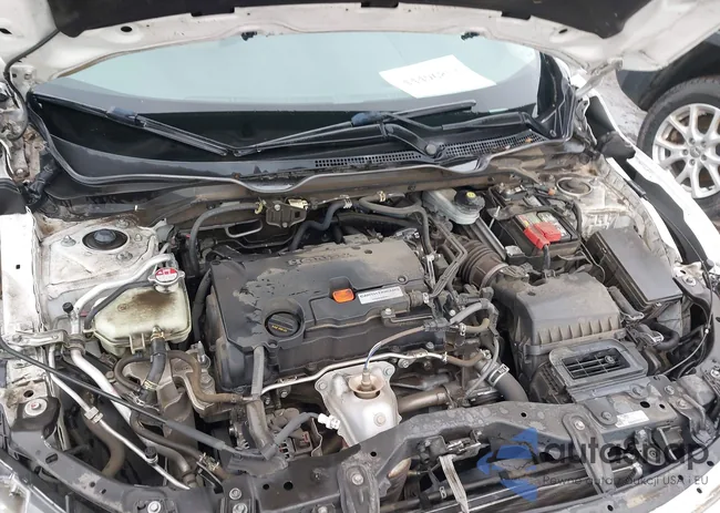 19XFC2F50HE039951: 44496853