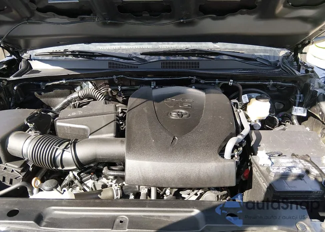 3TMCZ5AN3PM622321: 44497133