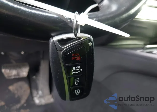 KMHGN4JE8FU046495: 44496448