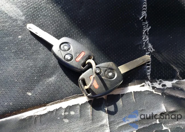 JHMGE8H51CC033363: 44498185