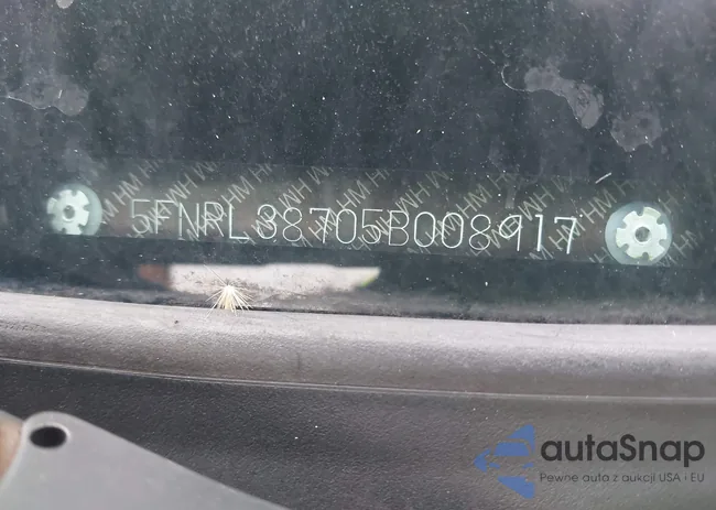 5FNRL38705B008917: 44499006