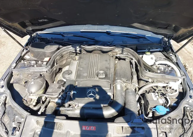 WDDGF4HB2DR253984: 44499264