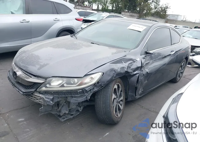 1HGCT1B3XHA009202: 44499634