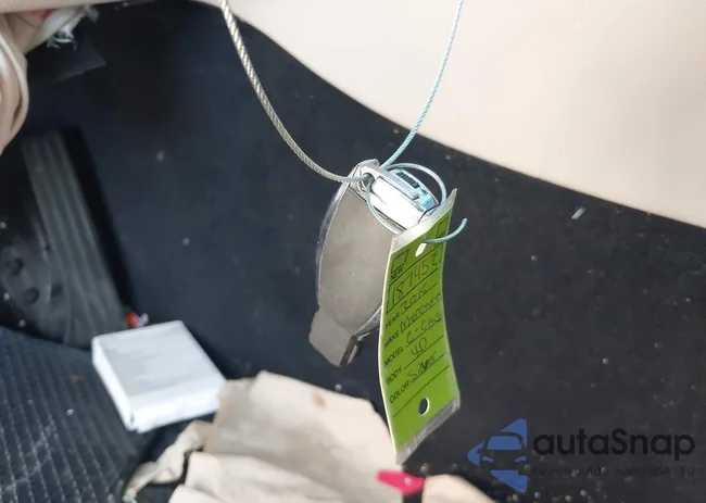 55SWF4KB3JU241101: 44499645