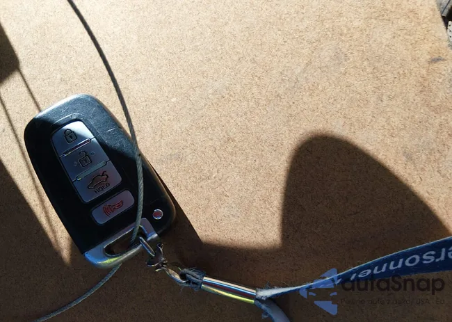 KNAGN4A77B5147437: 44500737