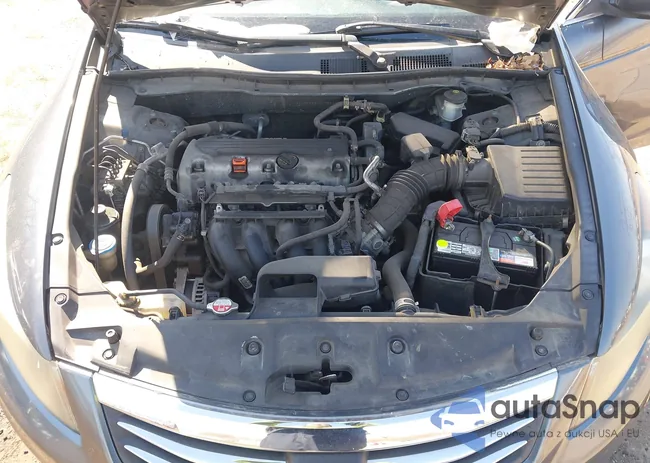 1HGCP2F34BA007263: 44500873