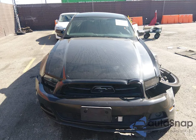 1ZVBP8AMXE5233752: 44500948