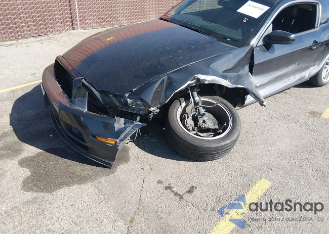 1ZVBP8AMXE5233752: 44500948