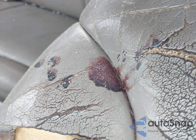 2GCEC19R3V1144657: 44501230