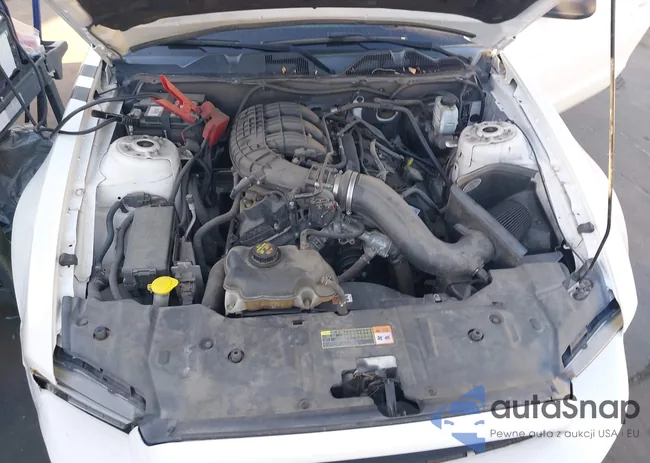 1ZVBP8AM4D5275672: 44500610