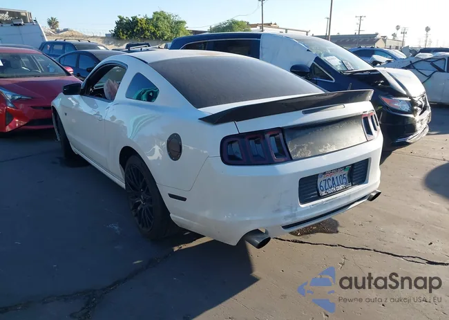 1ZVBP8AM4D5275672: 44500610