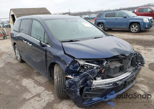 5FNRL6H75KB118343: 44501945