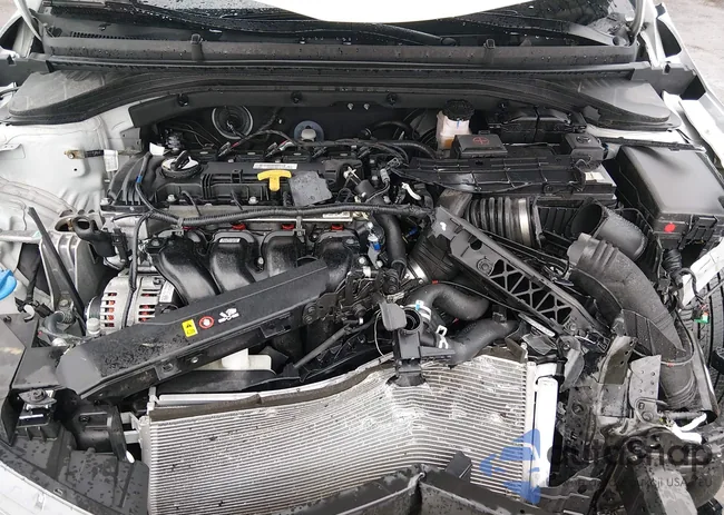 5NPD84LF3KH478047: 44502072