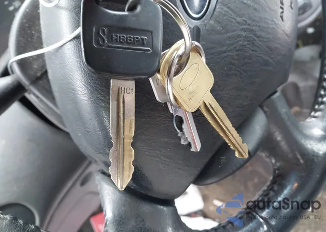 3FAFP31344R123859: 44503068