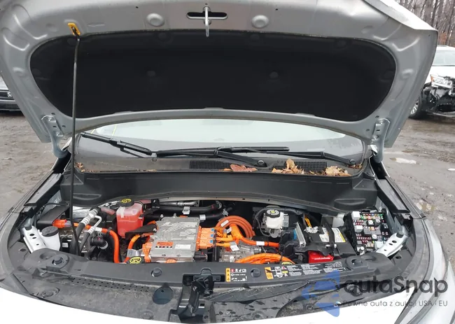 1G1FZ6S09P4170966: 44503200