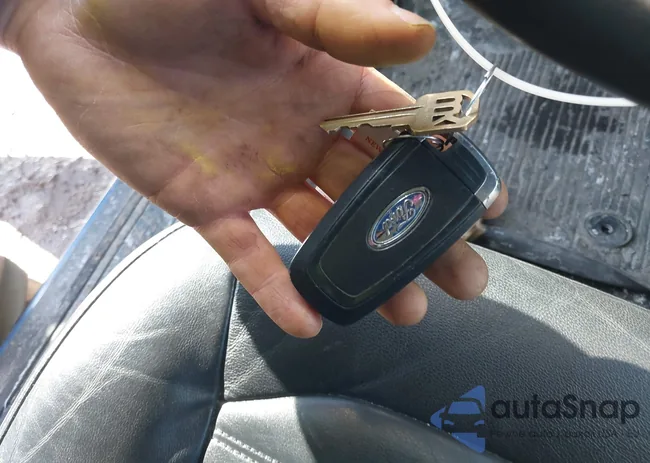 3FA6P0PU0HR128142: 44502264