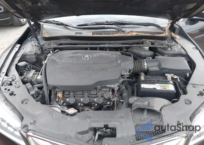 19UUB2F59HA002573: 43505594