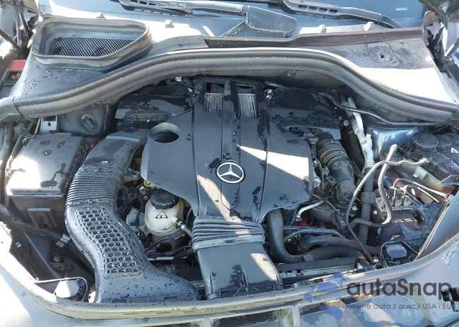 4JGDF6EE6FA563799: 43505646