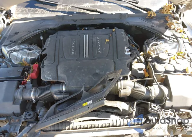 SAJBK4BV0GCY21824: 43505723