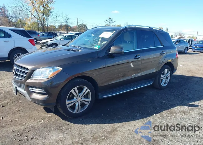 4JGDA5HBXEA379667: 43505934