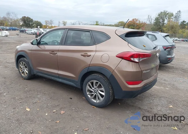 KM8J23A4XGU182855: 43505992