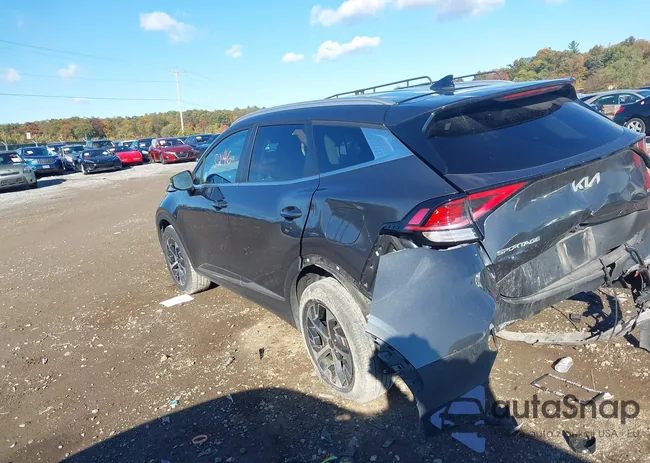 KNDPVCAG1P7069813: 43505246