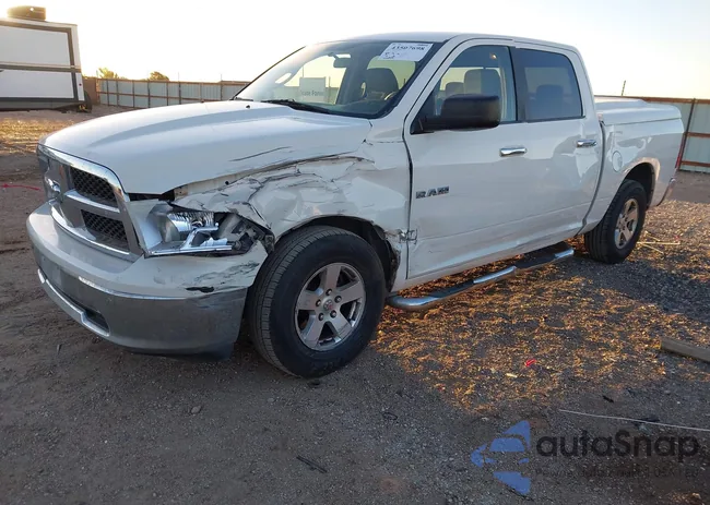 1D3HB13P09S780599: 43507698