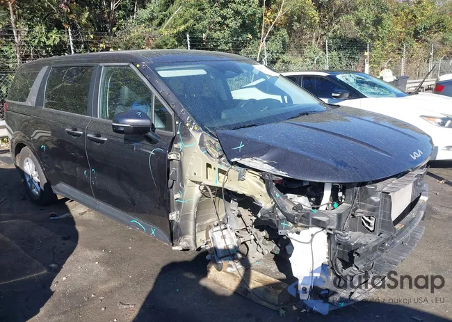 KNDNB4H32P6281621: 43507139