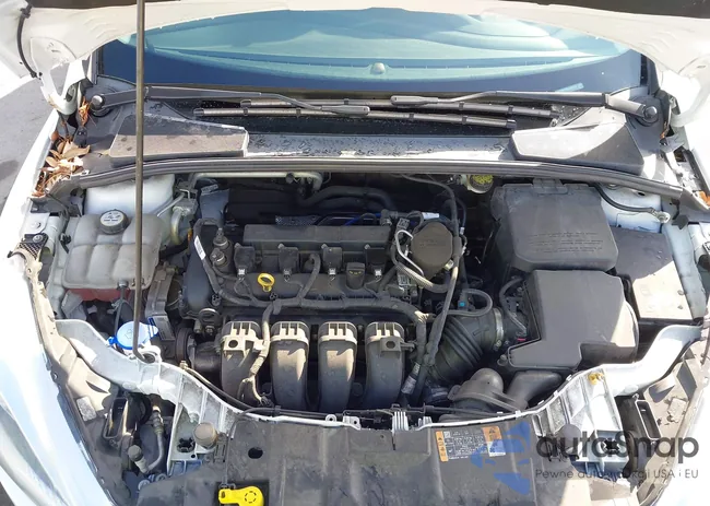 1FADP3F25GL269262: 43508498