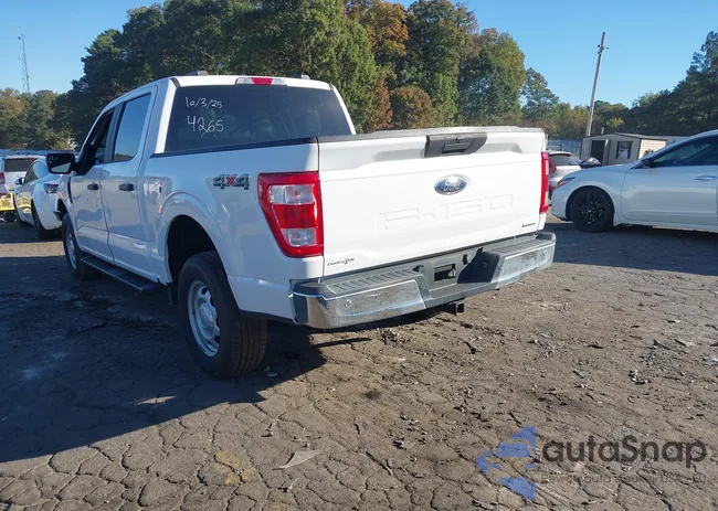 1FTFW1E83MFA66204: 43508712