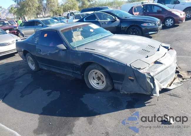 1G2FW87H2GL236309: 43508146