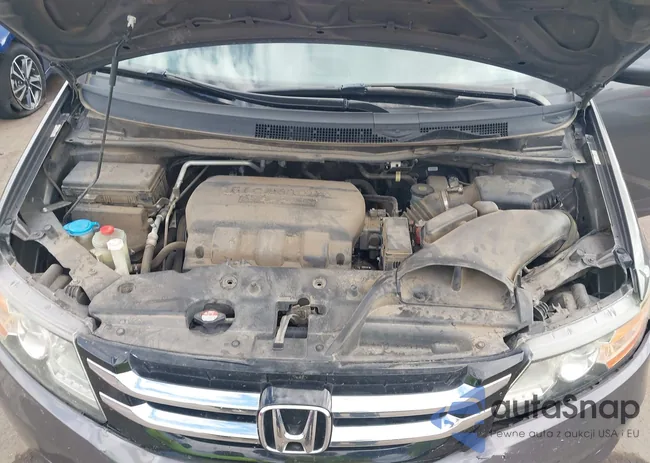 5FNRL5H65GB004853: 43508337