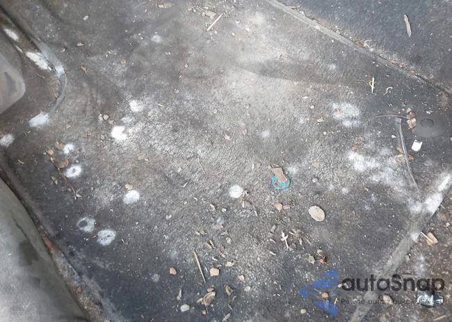 3GNCJKSB5GL276246: 43509467