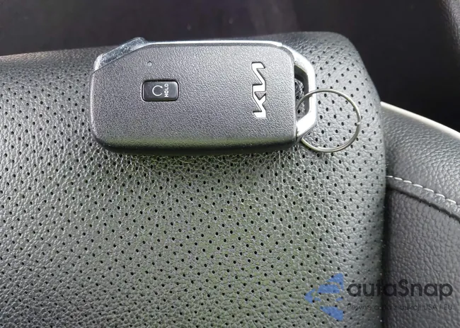 3KPF54AD8PE584024: 43509544