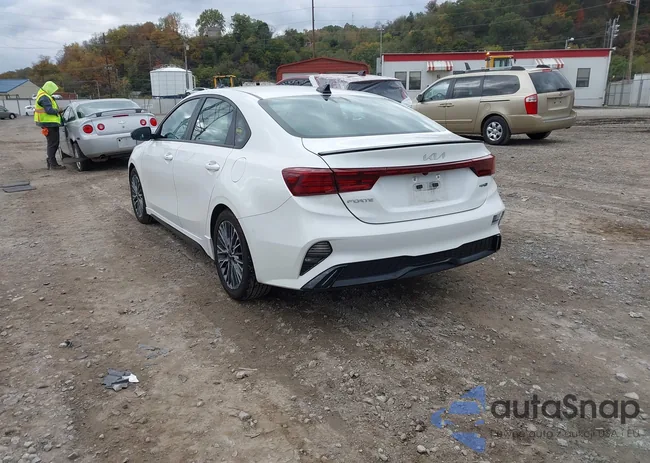 3KPF54AD8PE584024: 43509544