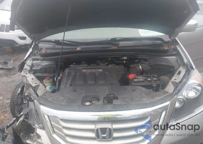 5FNRL38729B009699: 43509704