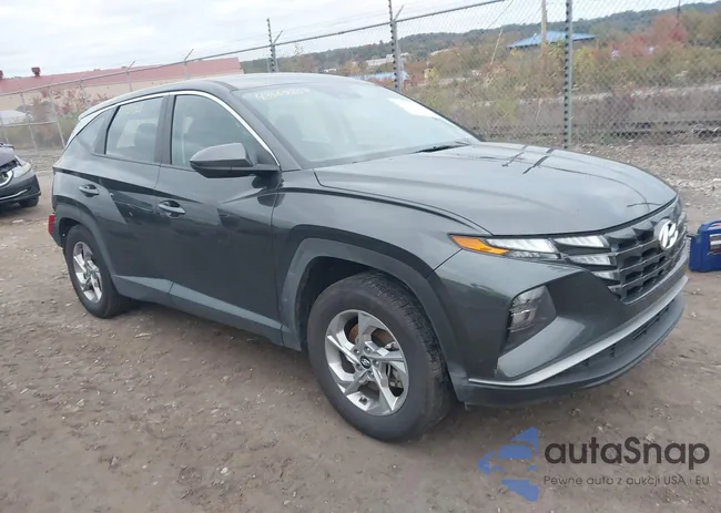 5NMJA3DE6RH325080: 43509858