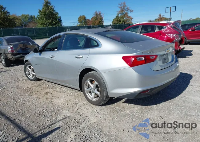 1G1ZB5STXHF269209: 43509894