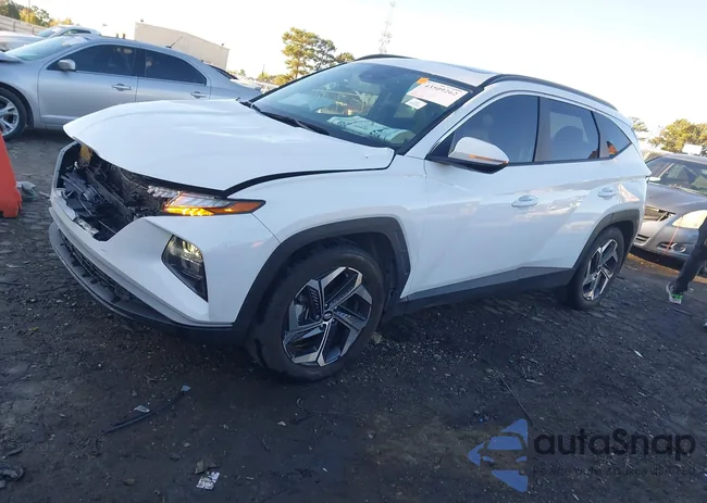 5NMJF3AE6PH278586: 43509262