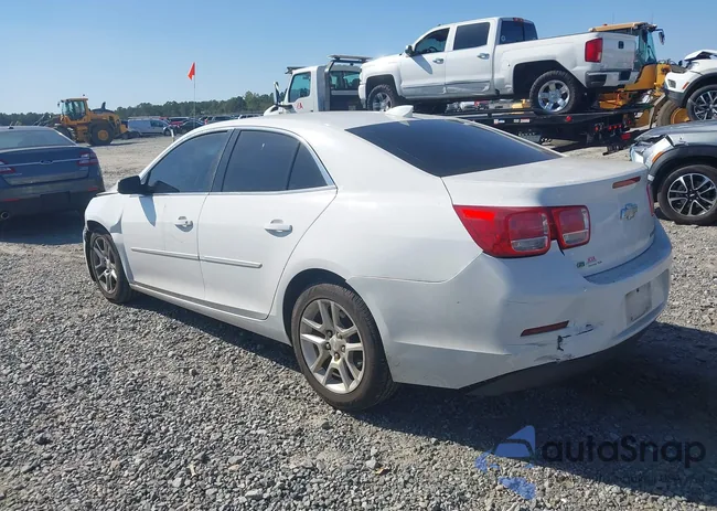 1G11C5SL1FF217524: 43510676