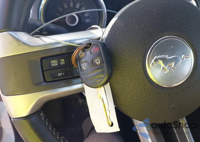 1ZVBP8EMXE5314230: 43510803