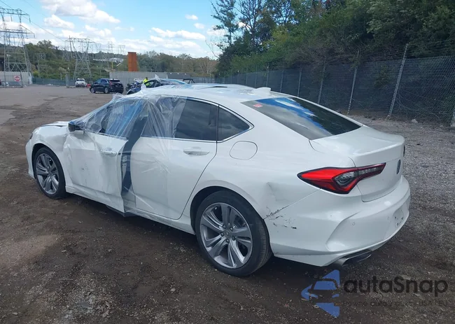 19UUB6F48MA004842: 43512710