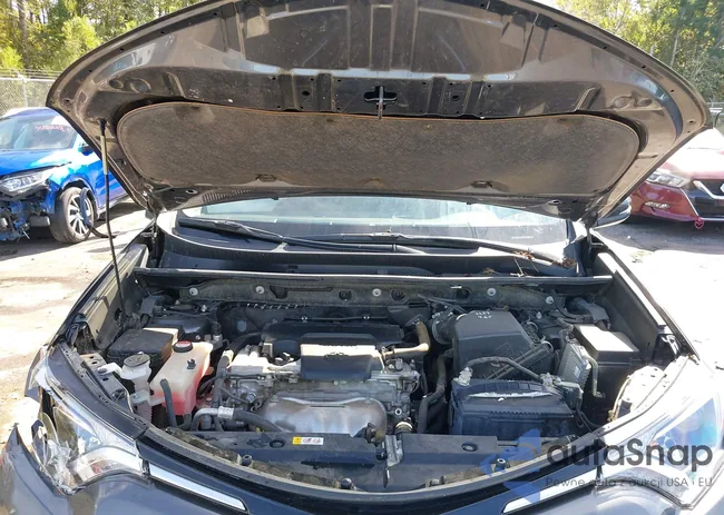 JTMWFREV5GJ082183: 43513488