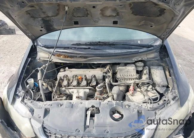 19XFB2F5XFE054330: 43513568