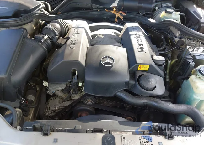 WDBJF82H8XX021943: 43513749